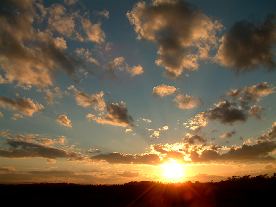 Home Page Image